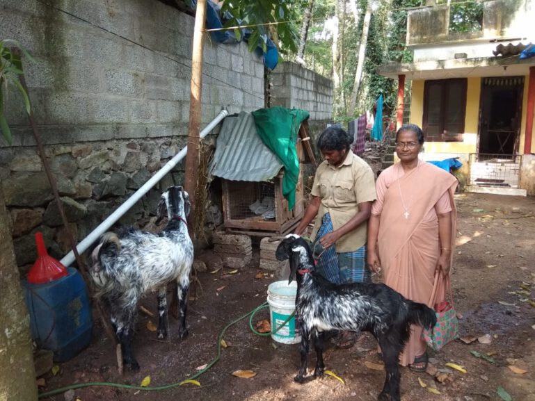 Teilnehmerin des Livelihood Projektes mit Ziege.